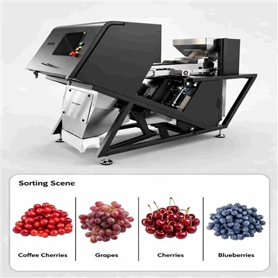 Fresh Fruit Sorting Machine